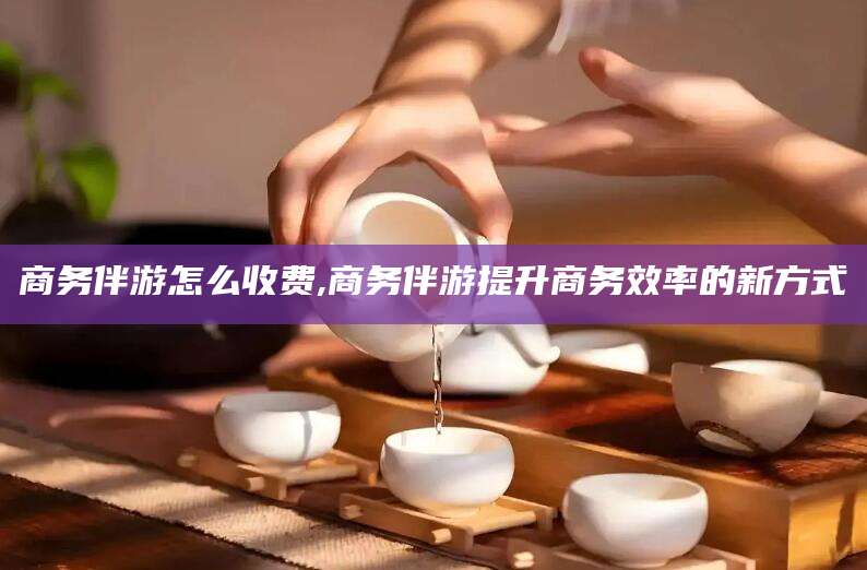 丰城商务伴游怎么收费,商务伴游提升商务效率的新方式