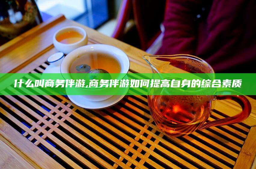 丰城什么叫商务伴游,商务伴游如何提高自身的综合素质